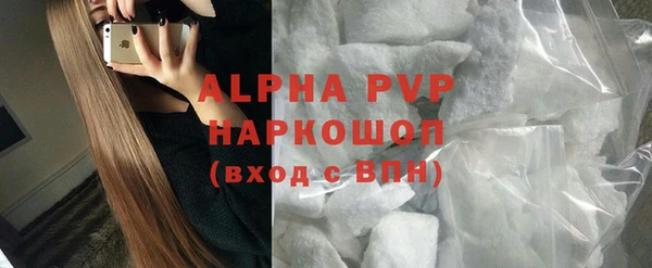 гидра Богородицк
