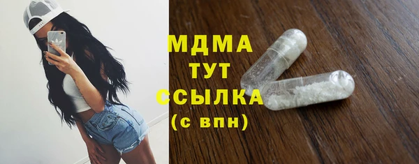 гидра Богородицк