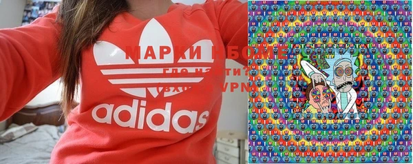 гидра Богородицк