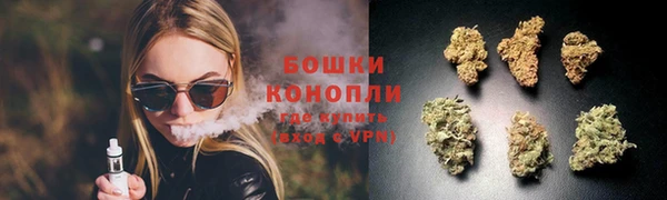 гидра Богородицк
