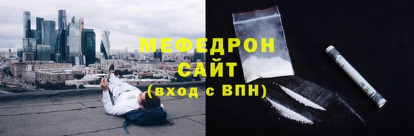 гидра Богородицк