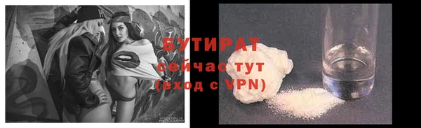 гидра Богородицк