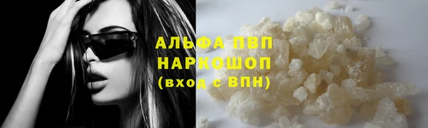 гидра Богородицк