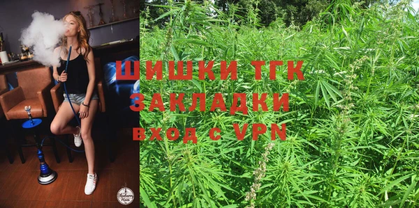 гидра Богородицк