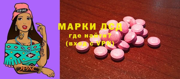 гидра Богородицк