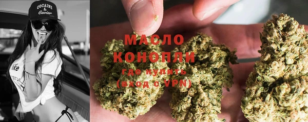гидра Богородицк