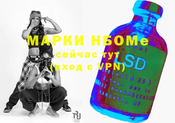 гидра Богородицк