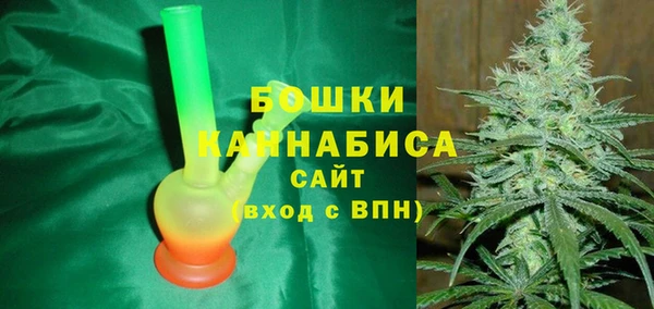 гидра Богородицк