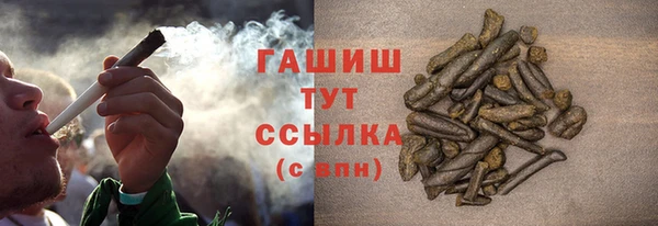 гидра Богородицк